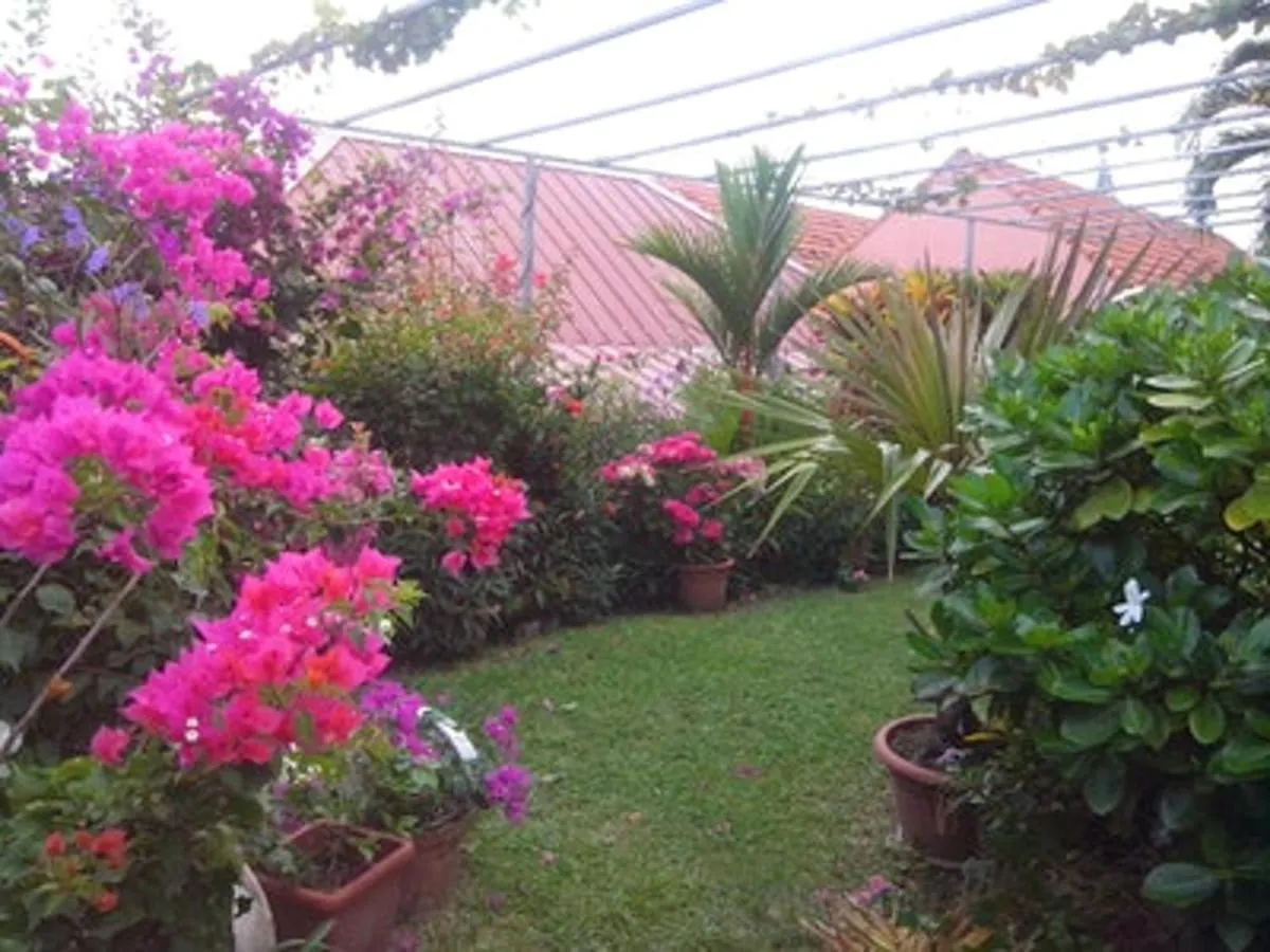 Daire Appartement Cosy Avec Vue Sur Le Jardin A Sainte Anne 30 M² Martinik